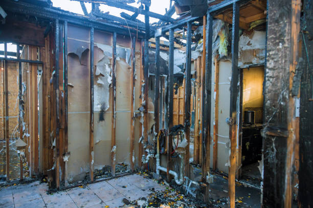 Professional Fire Damage Restoration technician working in Hamilton, AL